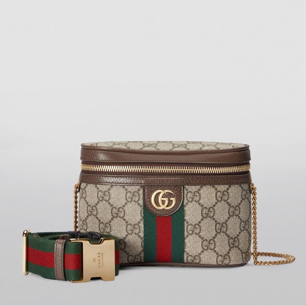 Gucci Ophidia Belt Bag
